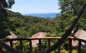 Tree House Bungalows Koh Tao