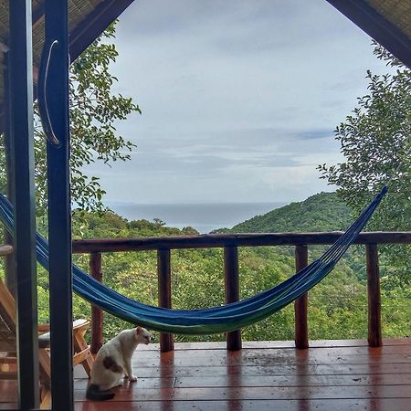 Tree House Bungalows Koh Tao Exterior photo
