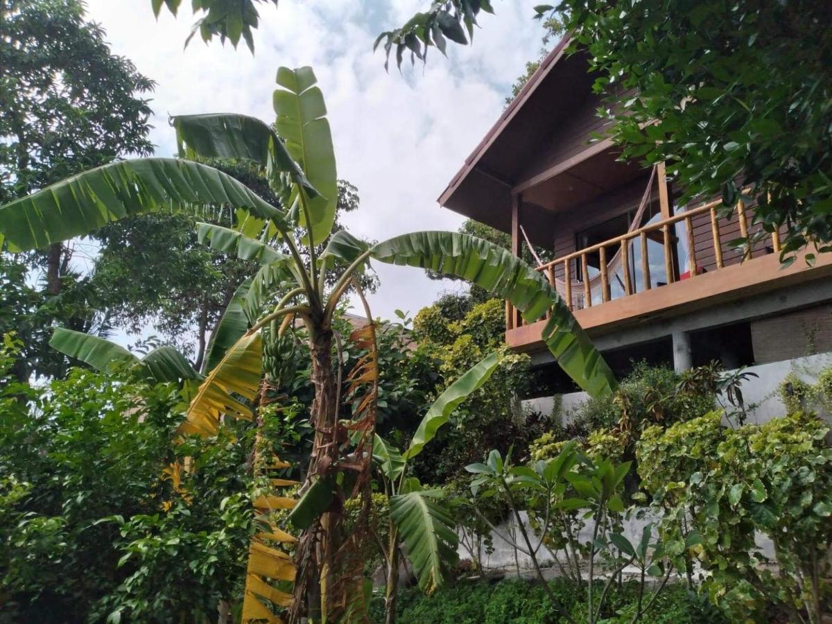 Tree House Bungalows Koh Tao Exterior photo