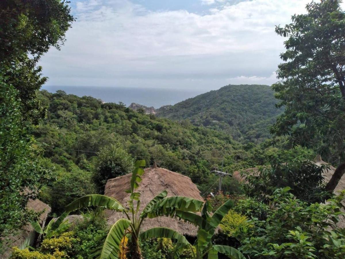 Tree House Bungalows Koh Tao Exterior photo