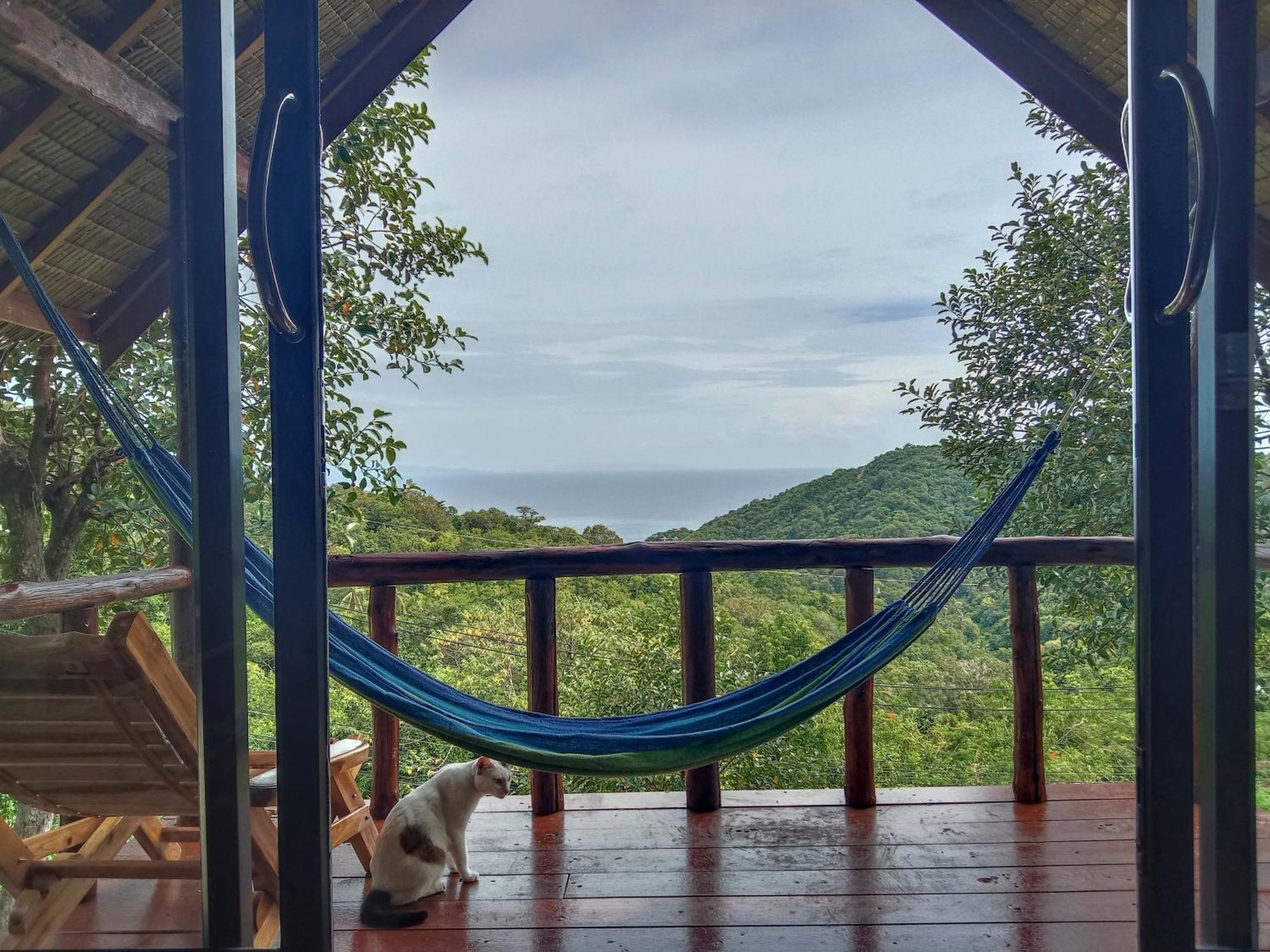 Tree House Bungalows Koh Tao Exterior photo